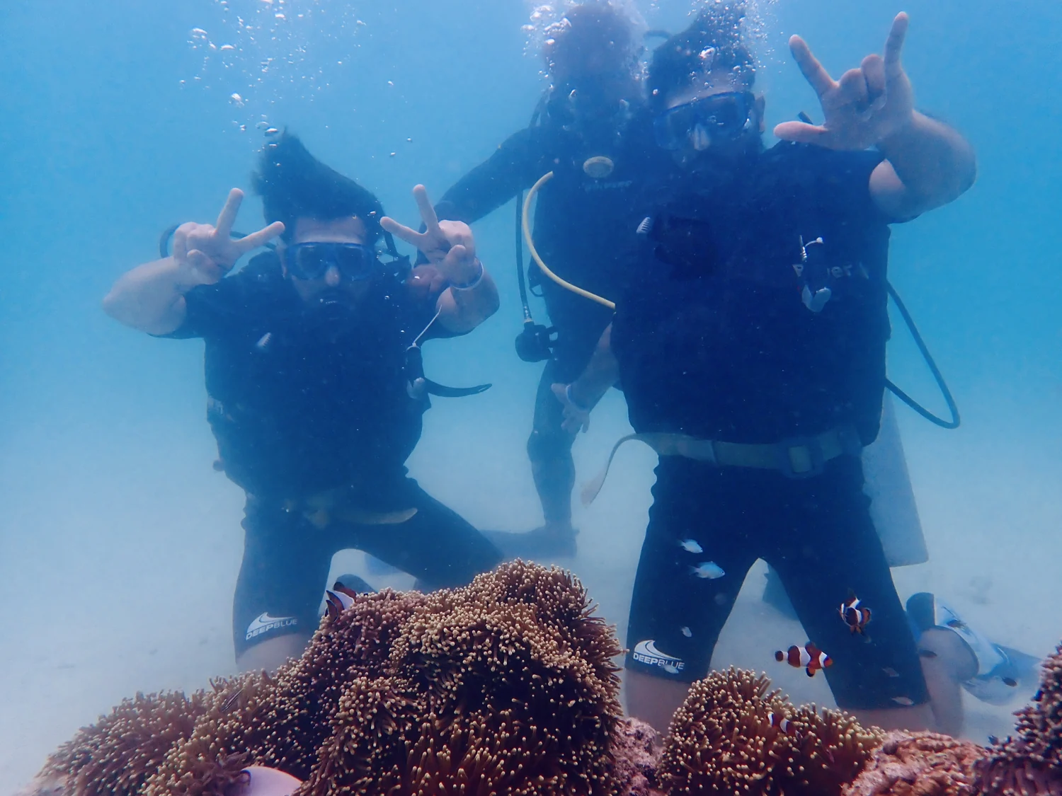 Two scuba divers underwater beside a coral formation